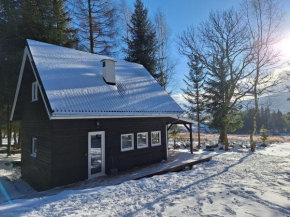 Domek Dorota z widokiem na góry Lasówka 5km do Zieleniec Ski Arena
